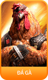 207A222E63F5B77261C5D7E6Ec40148B