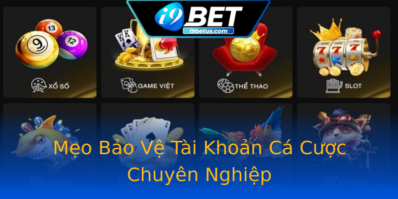 Mẹo Bảo Vệ Tài Khoản Cá Cược Chuyên Nghiệp