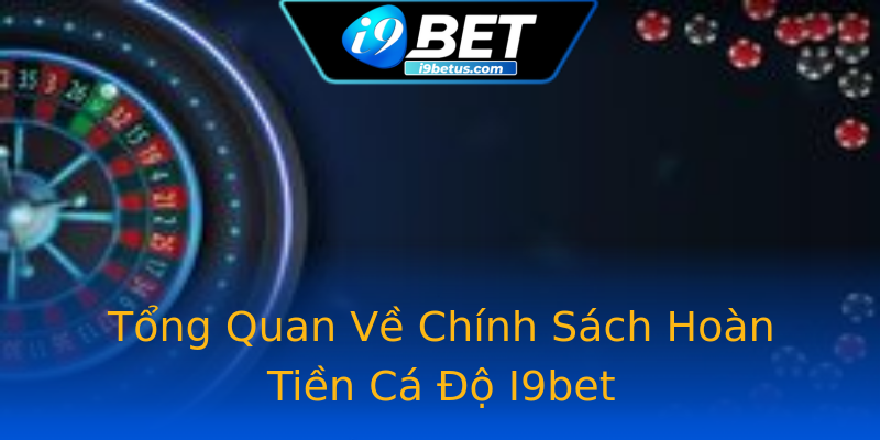 Tổng Quan Về Chính Sách Hoàn Tiền Cá Độ I9bet