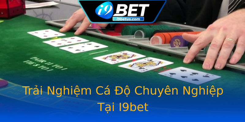 Trải Nghiệm Cá Độ Chuyên Nghiệp Tại I9bet Trải Nghiệm Cá Độ Chuyên Nghiệp Tại I9bet