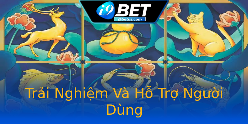 Trải Nghiệm Và Hỗ Trợ Người Dùng